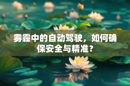 雾霾中的自动驾驶，如何确保安全与精准？
