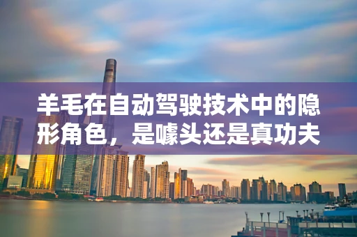 羊毛在自动驾驶技术中的隐形角色，是噱头还是真功夫？