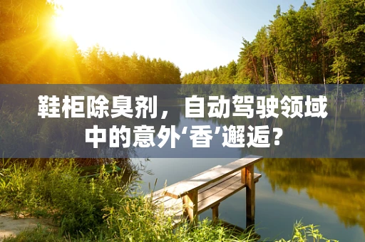 鞋柜除臭剂，自动驾驶领域中的意外‘香’邂逅？