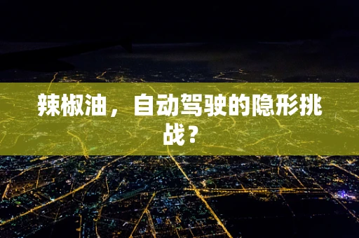 辣椒油，自动驾驶的隐形挑战？