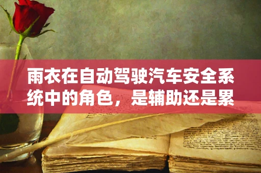雨衣在自动驾驶汽车安全系统中的角色，是辅助还是累赘？