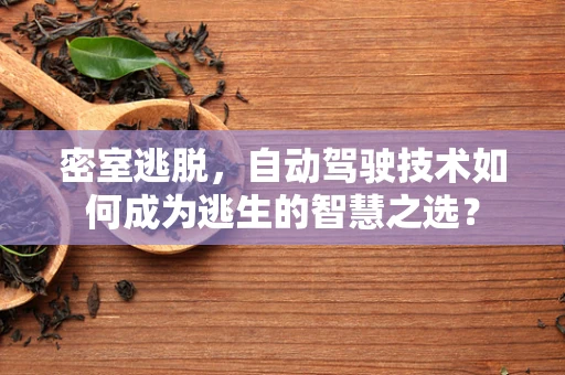 密室逃脱，自动驾驶技术如何成为逃生的智慧之选？