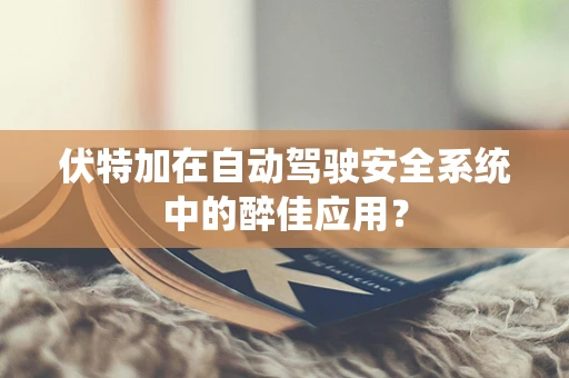 伏特加在自动驾驶安全系统中的醉佳应用？
