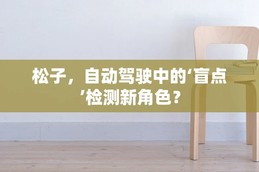 松子，自动驾驶中的‘盲点’检测新角色？