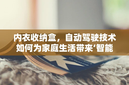 内衣收纳盒，自动驾驶技术如何为家庭生活带来‘智能’新体验？