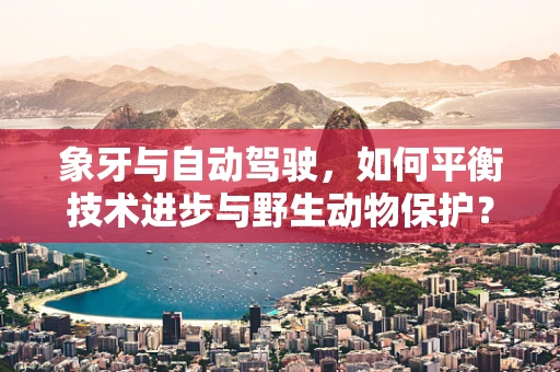 象牙与自动驾驶，如何平衡技术进步与野生动物保护？
