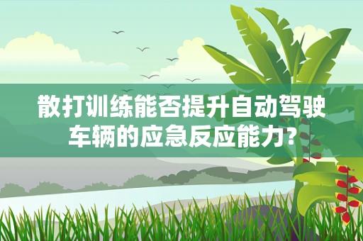 散打训练能否提升自动驾驶车辆的应急反应能力？