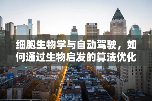 细胞生物学与自动驾驶，如何通过生物启发的算法优化路径规划？