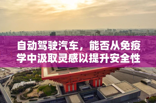 自动驾驶汽车，能否从免疫学中汲取灵感以提升安全性能？
