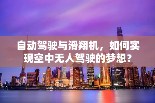自动驾驶与滑翔机，如何实现空中无人驾驶的梦想？