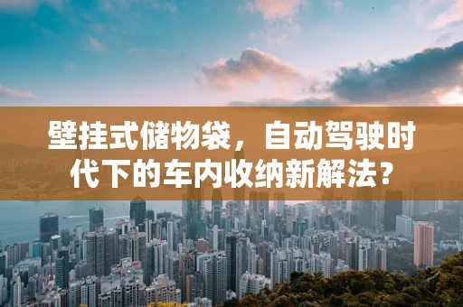 壁挂式储物袋，自动驾驶时代下的车内收纳新解法？