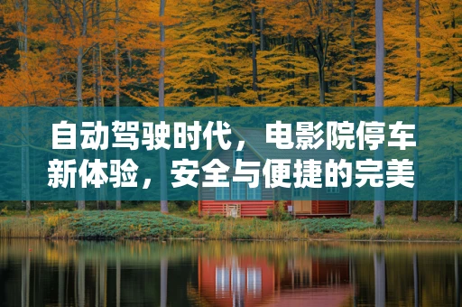 自动驾驶时代，电影院停车新体验，安全与便捷的完美融合？