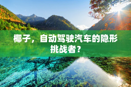 椰子，自动驾驶汽车的隐形挑战者？