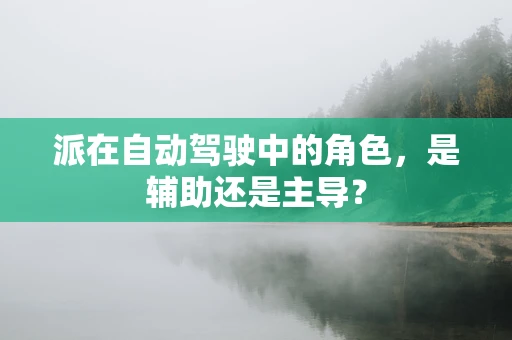 派在自动驾驶中的角色，是辅助还是主导？