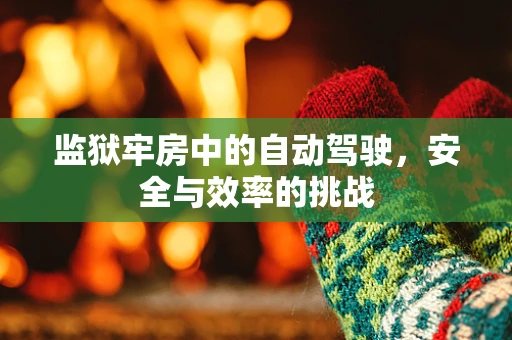 监狱牢房中的自动驾驶，安全与效率的挑战