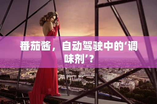 番茄酱，自动驾驶中的‘调味剂’？