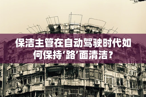保洁主管在自动驾驶时代如何保持‘路’面清洁？