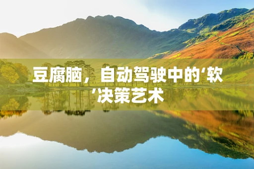 豆腐脑，自动驾驶中的‘软’决策艺术