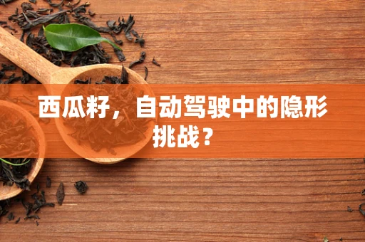 西瓜籽，自动驾驶中的隐形挑战？