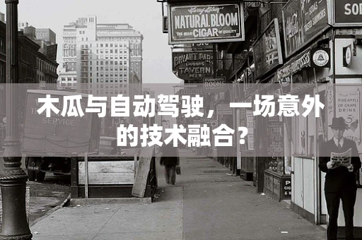 木瓜与自动驾驶，一场意外的技术融合？