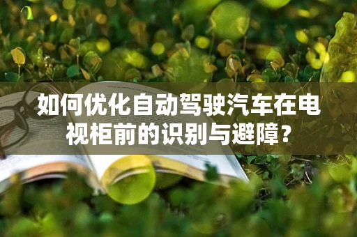 如何优化自动驾驶汽车在电视柜前的识别与避障？
