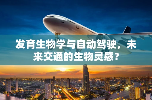 发育生物学与自动驾驶，未来交通的生物灵感？