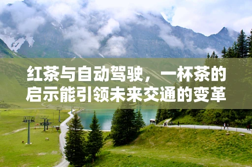 红茶与自动驾驶，一杯茶的启示能引领未来交通的变革吗？