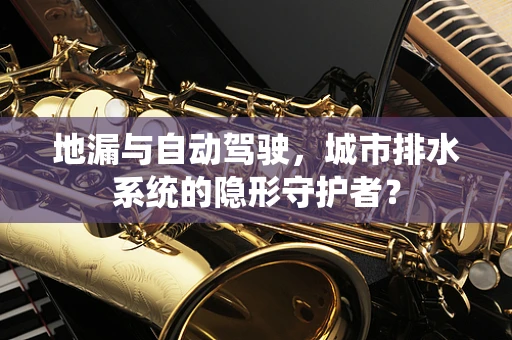 地漏与自动驾驶，城市排水系统的隐形守护者？