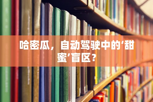 哈密瓜，自动驾驶中的‘甜蜜’盲区？