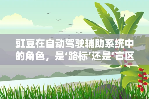 豇豆在自动驾驶辅助系统中的角色，是‘路标’还是‘盲区’？