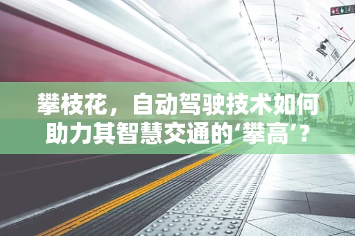 攀枝花，自动驾驶技术如何助力其智慧交通的‘攀高’？