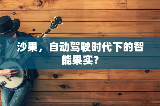 沙果，自动驾驶时代下的智能果实？
