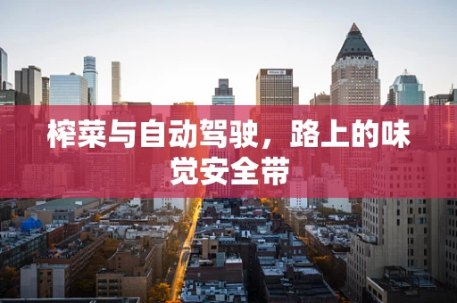 榨菜与自动驾驶，路上的味觉安全带