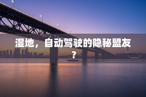 湿地，自动驾驶的隐秘盟友？