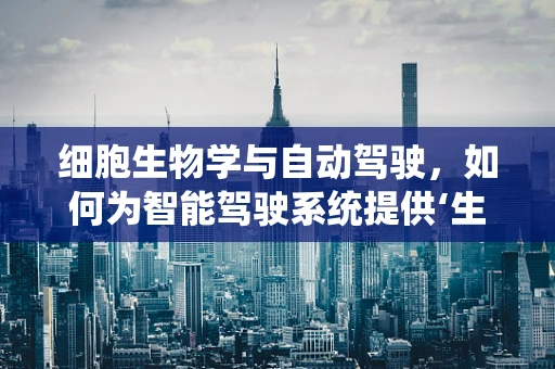 细胞生物学与自动驾驶，如何为智能驾驶系统提供‘生物灵感’？