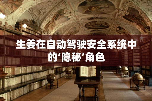 生姜在自动驾驶安全系统中的‘隐秘’角色