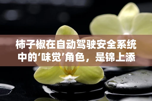柿子椒在自动驾驶安全系统中的‘味觉’角色，是锦上添花还是不可或缺？