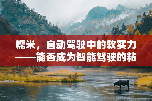 糯米，自动驾驶中的软实力——能否成为智能驾驶的粘合剂？