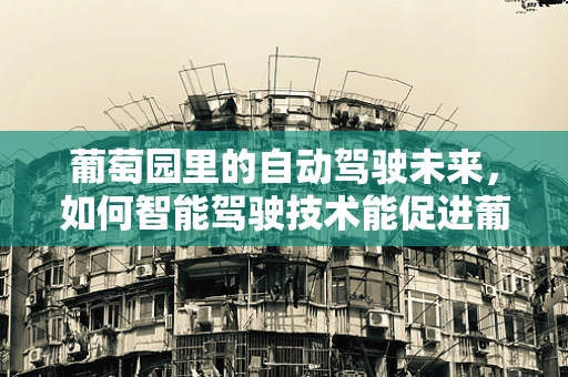 葡萄园里的自动驾驶未来，如何智能驾驶技术能促进葡萄种植的可持续发展？