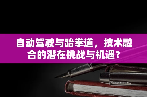 自动驾驶与跆拳道，技术融合的潜在挑战与机遇？