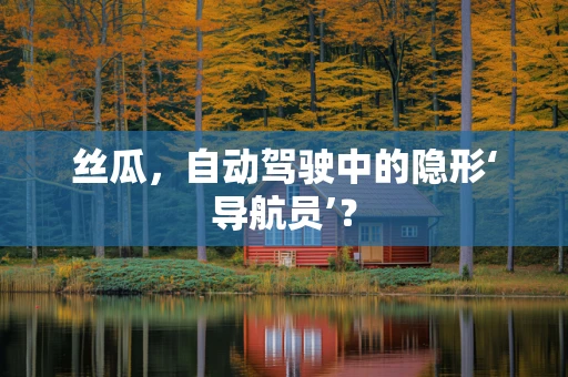 丝瓜，自动驾驶中的隐形‘导航员’？