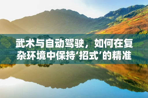 武术与自动驾驶，如何在复杂环境中保持‘招式’的精准与高效？