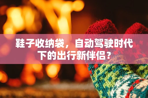 鞋子收纳袋，自动驾驶时代下的出行新伴侣？