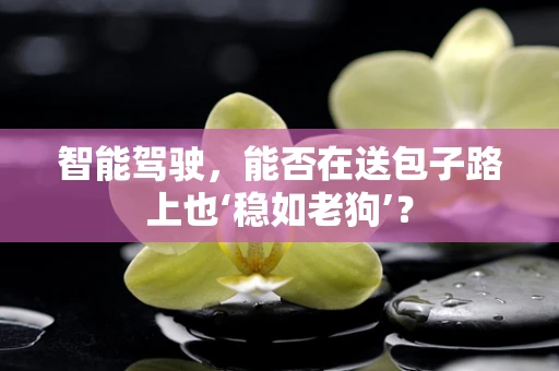智能驾驶，能否在送包子路上也‘稳如老狗’？