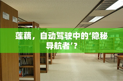 莲藕，自动驾驶中的‘隐秘导航者’？