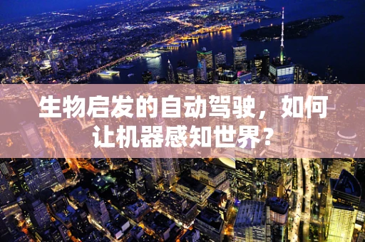 生物启发的自动驾驶，如何让机器感知世界？