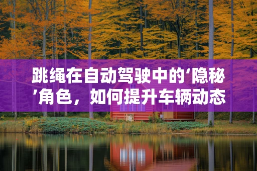 跳绳在自动驾驶中的‘隐秘’角色，如何提升车辆动态感知能力？