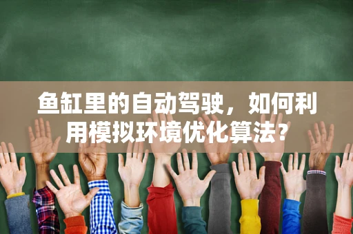鱼缸里的自动驾驶，如何利用模拟环境优化算法？