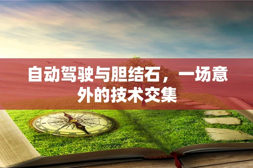 自动驾驶与胆结石，一场意外的技术交集