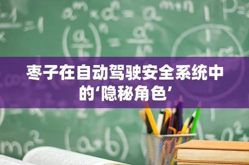 枣子在自动驾驶安全系统中的‘隐秘角色’